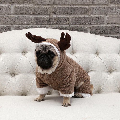 Manteau pour chien - , manteau+pour+chien