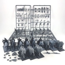 x12 Chevaliers du Royaume/Chevaliers Errants Plastique Warhammer FB | P-00N6D