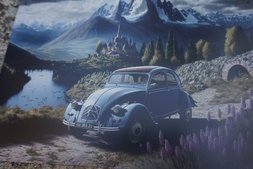 Plaque metal 2 cv - ,