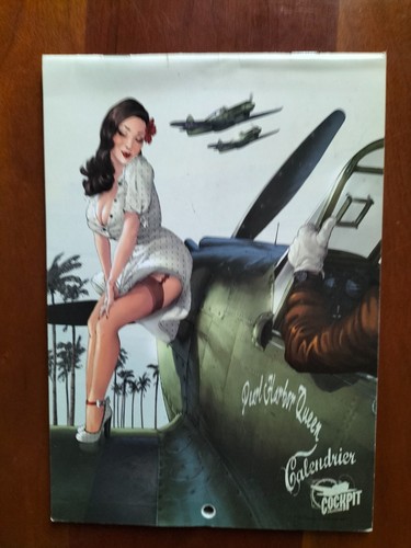 Calendrier pin cockpit - calendrier,