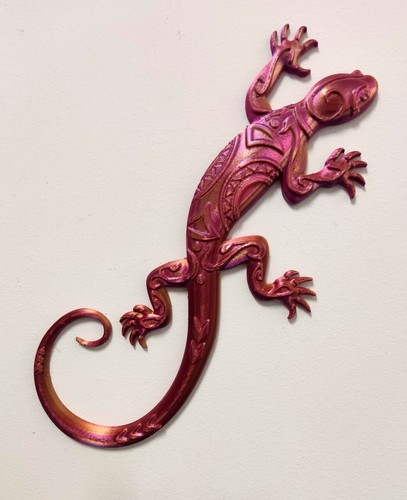 Salamandre color - salamandre, bi-color