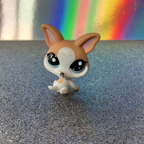 Petshop chien chihuahua - ,