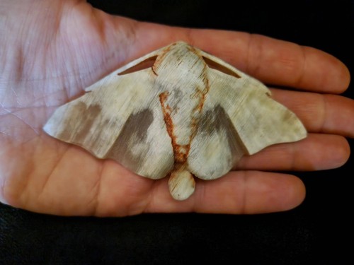 Broche papillon nuit - broche,