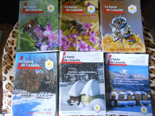 Santé abeille lot de - santé, l'abeille.