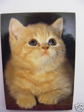 Carnet aimanté à feuilles