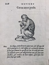 Singe 1557 Rare Monkey Gravure