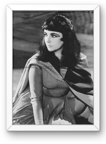 Elizabeth taylor framed photo - elizabeth,