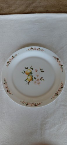 Plat rond arcopal modèle - plat,