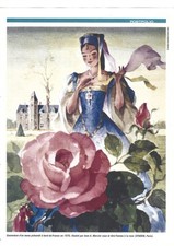 PAQUEBOT FRANCE / DOUBLE FICHE PHOTO / Recto Verso réf 116-086-012