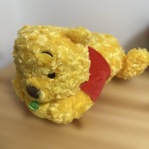 Winnie the pooh tissue - winnie,