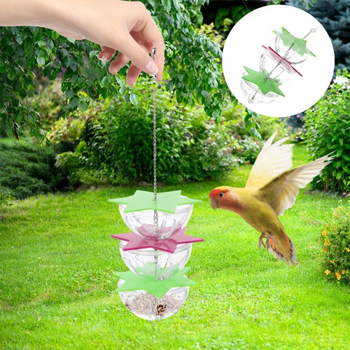 Jouet perruche calopsitte - ,