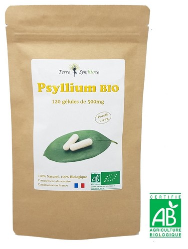 Tégument psyllium bio 120 - tégument,