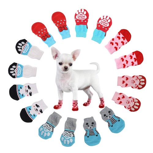 Chaussettes pour chiens - pour,