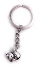 Chat Bébé Chaton Petit