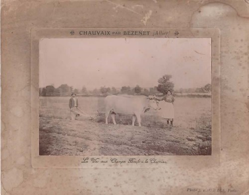 Photo originale chauvaix par - photo,
