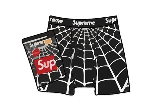 Boxer supreme hanes - boxer, x