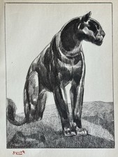 Paul JOUVE Gravure Animalière Lithographie ART DECO Panthère Noire Black panther