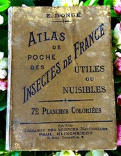 Atlas de poche des insectes de