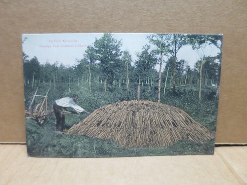 Nivernais foret - nivernais,