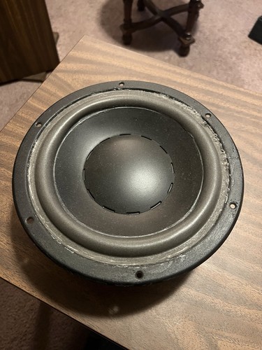 Dynaudio 24w100 driver - dynaudio,