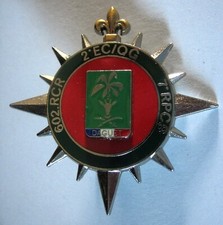 Train 602 RCR Opération DAGUET