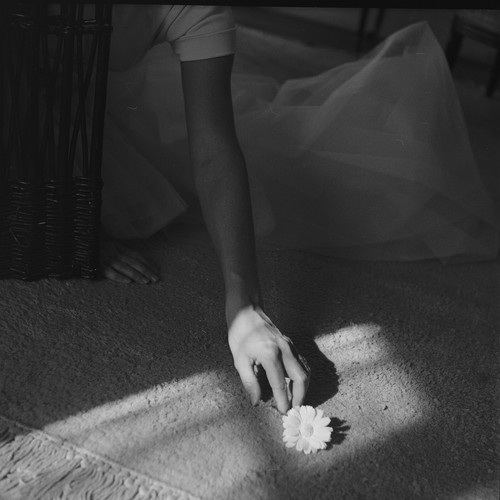 Photo papier argentique - papier,