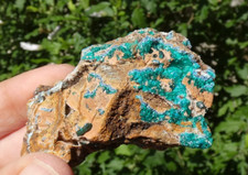 Dioptase & Shattuckite 6x3.5cm Congo minéral collection pierre lithothérapie