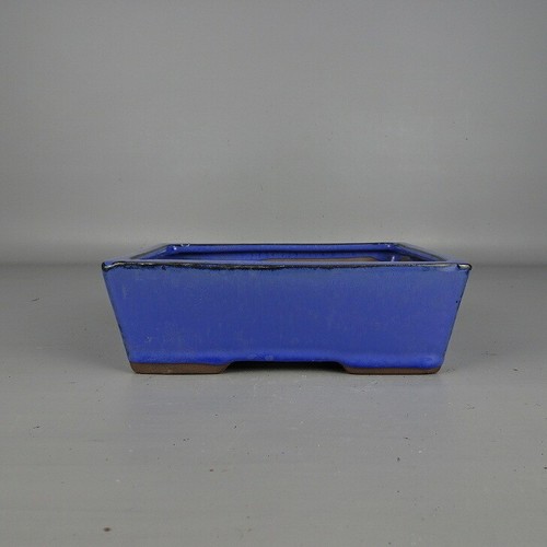 Pot bonsaï japonais long - bonsaï,