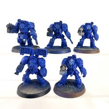 Terminators plastique - x5,