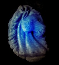 Horse klp -Flexible Push