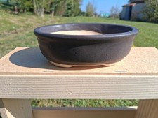 pot bonsai, ceramic bonsai