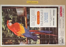 Buvard Pub Publicitaire Lustucru et cémoi