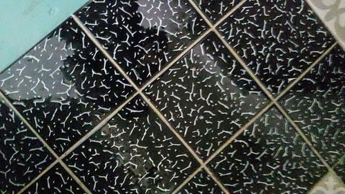 Carrelage vintage noir - , &