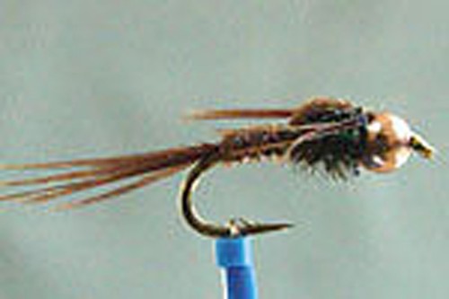 Mouche nymphe faisan - 1,