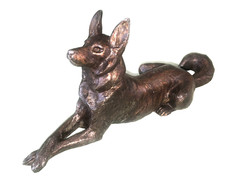 Chien couché  en régule