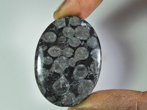 49cts natural black - aa++, 49cts.natural