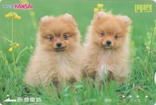Carte JAPON - ANIMAL - CHIEN LOULOU DE POMERANIE - DOG JAPAN Kansai card