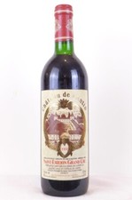 saint-émilion château cantin