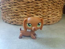 PETSHOP CHIEN TECKEL #139