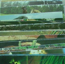 CARTES POSTALES NESTLE MERVEILLES MONDE - 22 -