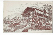 SUISSE  CHATEAU D OEX  PENSION CHALET