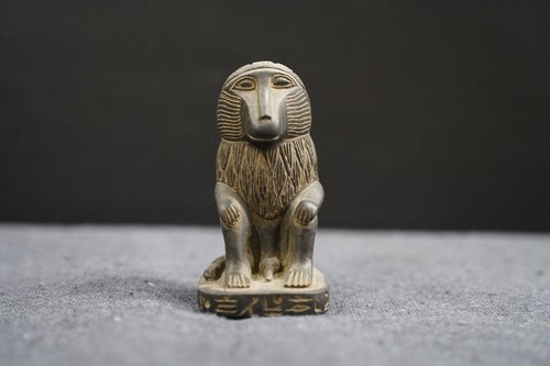 Singe babouin basalte - singe, en