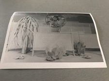 PÉPIN LA BULLE - Photo de