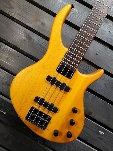 Electric bass guitar - bass, toby