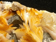 Cérusite Galène et Baryte