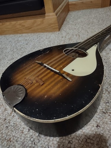 Stella harmony - harmony,