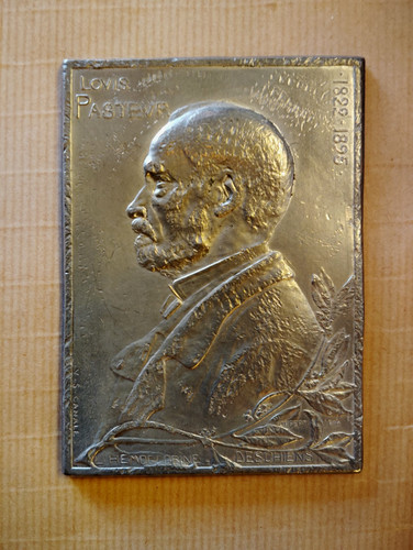 339 grande medaille - grande,