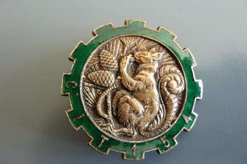 Original militaire insigne - original,