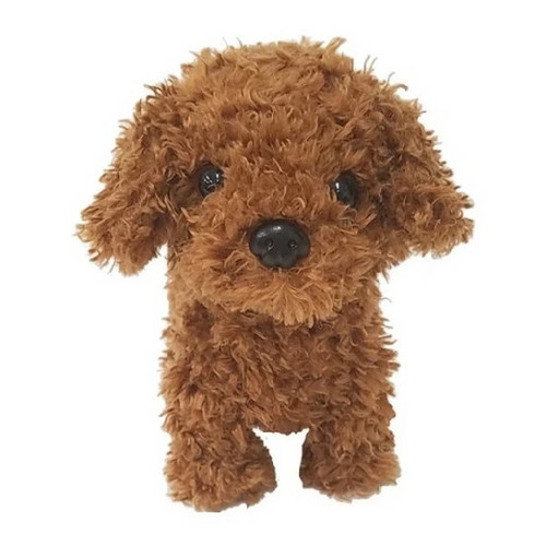 Peluche caniche jouet - , de