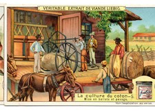 S952 - CHROMO LIEBIG - 1909 -